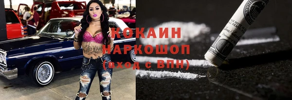 гашик Дмитриев