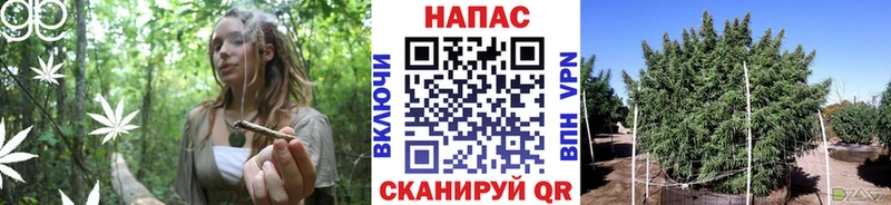 МАРИХУАНА Bruce Banner  kraken   Каневская 